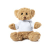 Loony Teddy