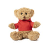 Loony Teddy