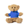 Loony Teddy