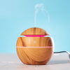 Festok Humidifier
