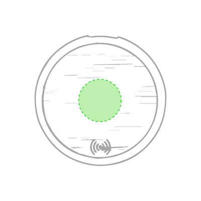 Fiore Charger