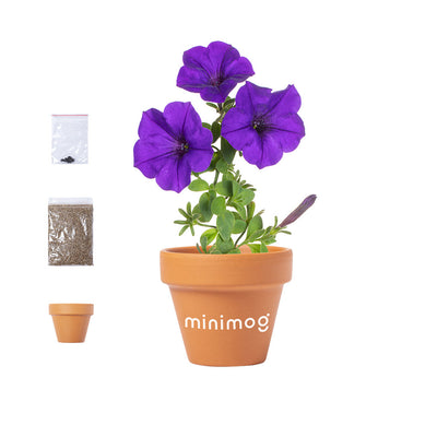 Soltax Flowerpot