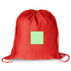 Bass Drawstring Bag