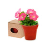 Advert Flowerpot