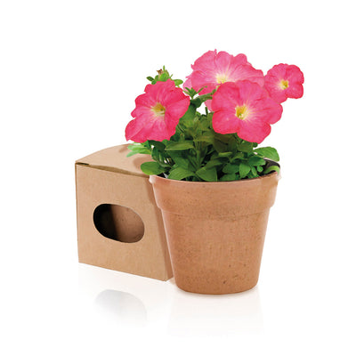 Advert Flowerpot