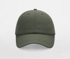 JUNIOR LOW PROFILE 6 PANEL DAD CAP