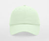 JUNIOR LOW PROFILE 6 PANEL DAD CAP