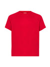 MEN'S SHORT SLEEVE SPORTS T-SHIRT