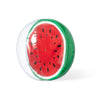 Darmon Beach Ball - WATER MELON / S/T