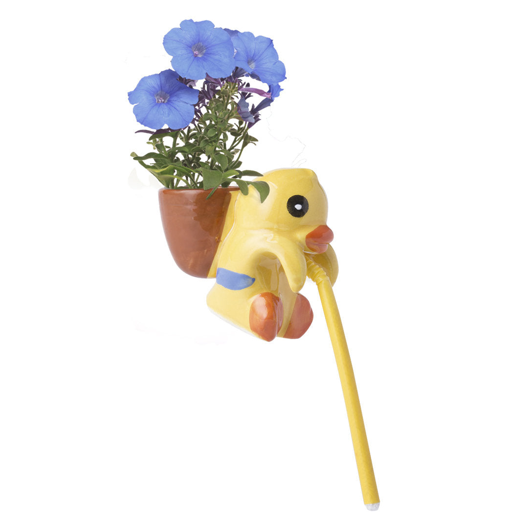 Chupon Flowerpot